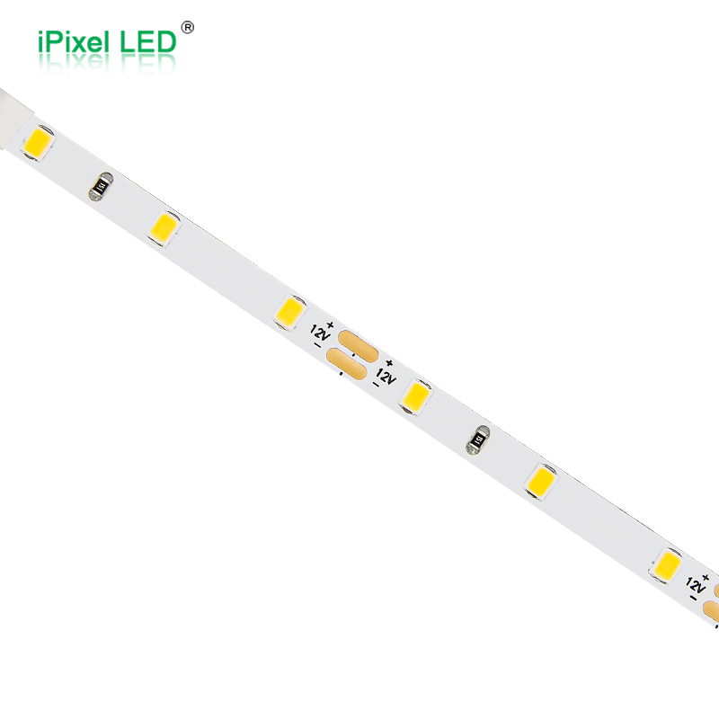 SMD2835 6mm Single Color Led Strip 60LEDs/m DC12V/DC24V