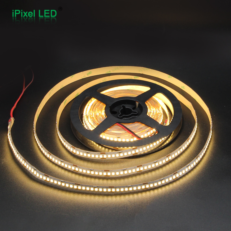 SMD2835 10mm single color LED strip 240 LEDs/M DC12V/DC24V