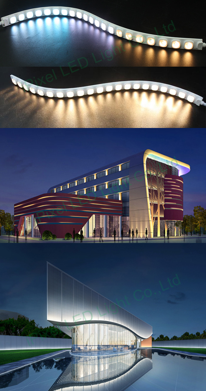 1764503453609900.jpg c1.jpg