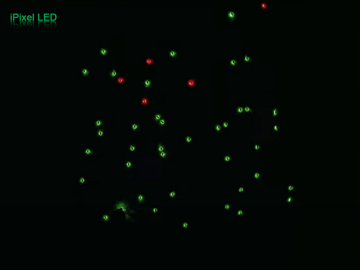 1764503630256125.jpg f.jpg